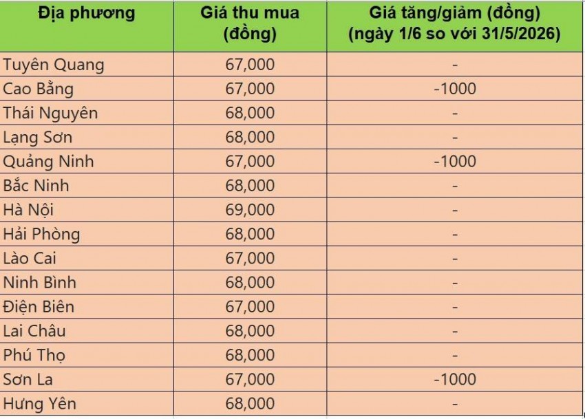 Bảng giá heo hơi tại miền Bắc hôm nay 1/6/2026