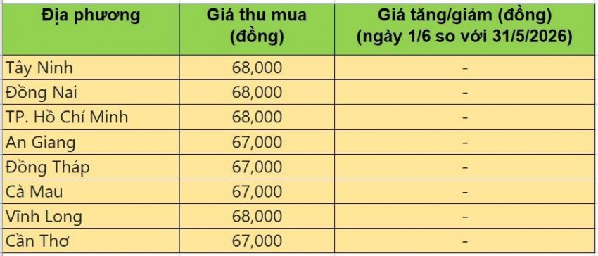 Bảng giá heo hơi tại miền Nam hôm nay 1/6/2026