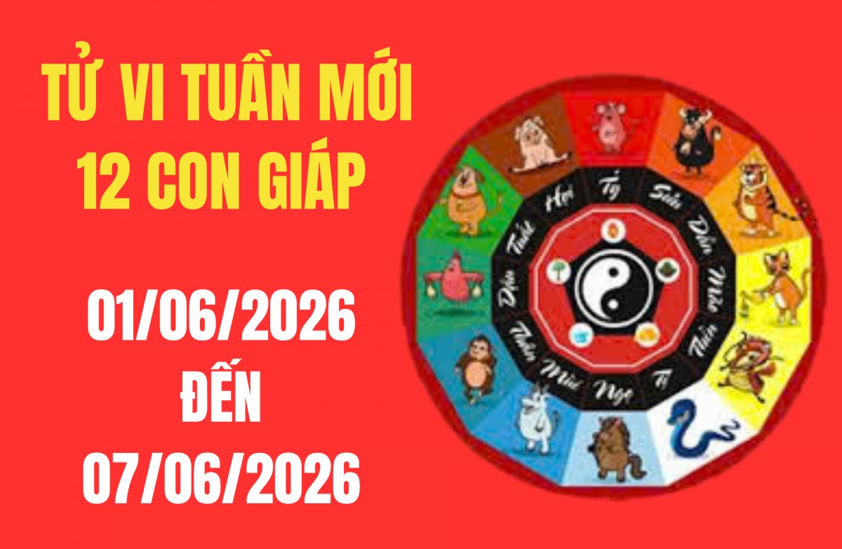 Tử vi tuần mới 12 con giáp từ 1/6 – 7/6/2026: Giải mã vận trình 60 hoa giáp, bí quyết kích hoạt tài lộc đầu tháng 6