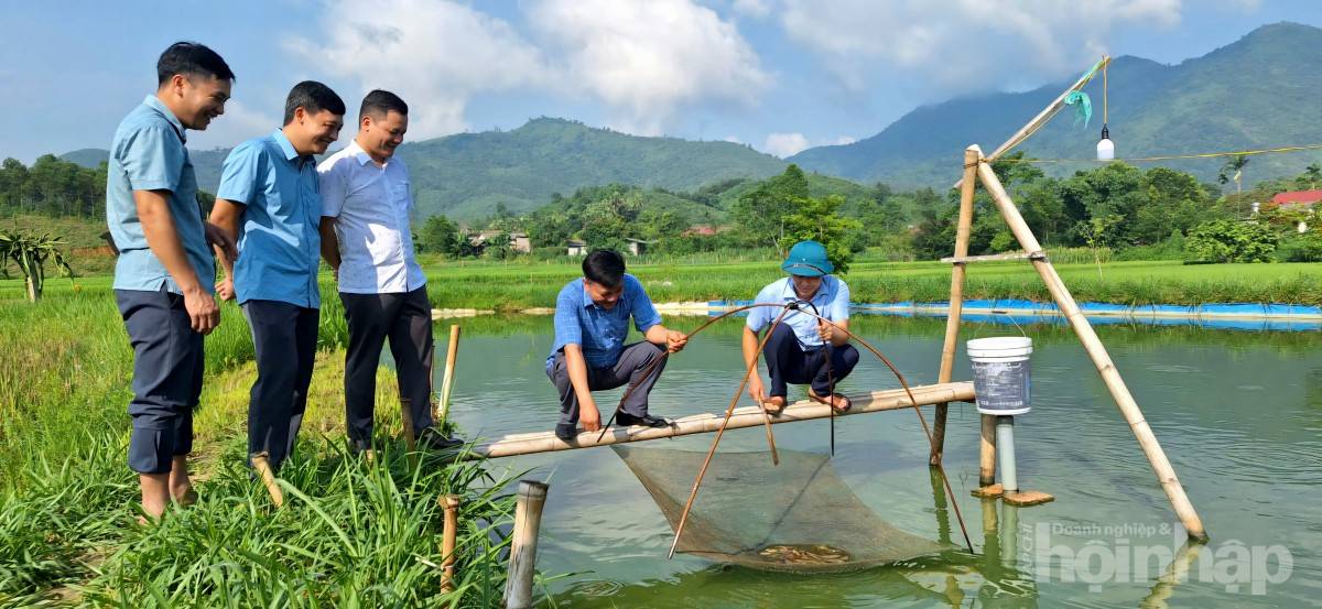 Phú Thọ: Vốn chính sách mở lối thoát nghèo cho người dân Minh Hòa