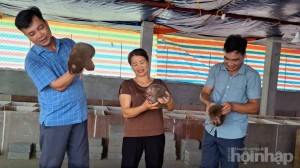 Phú Thọ: Vốn chính sách mở lối thoát nghèo cho người dân Minh Hòa