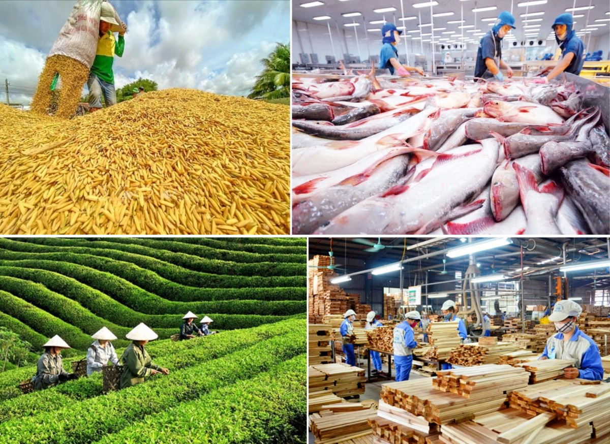 Nông nghiệp Việt Nam xuất siêu hơn 8,4 tỷ USD trong 5 tháng