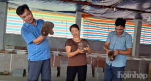 Phú Thọ: Vốn chính sách mở lối thoát nghèo cho người dân Minh Hòa