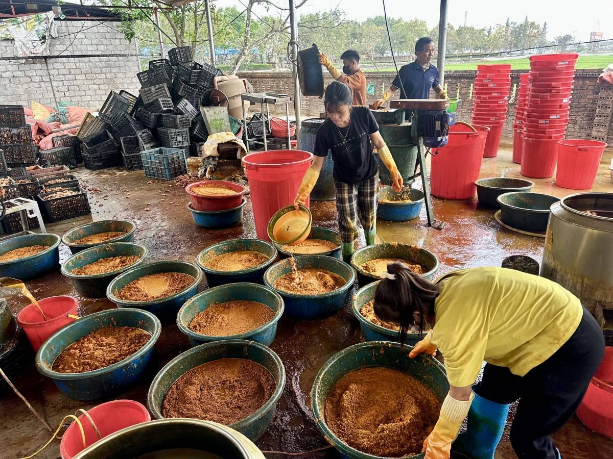 Xưởng làm tinh bột nghệ tại trung tâm