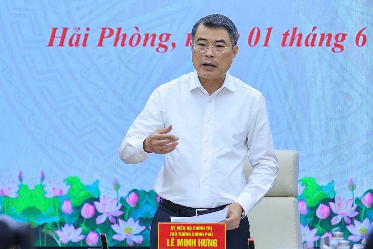 Thủ tướng Chính phủ Lê Minh Hưng phát biểu