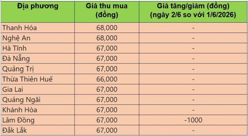 giá heo hơi