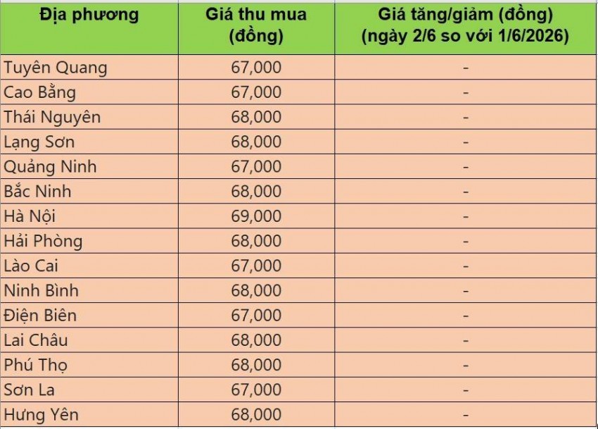 giá heo hơi