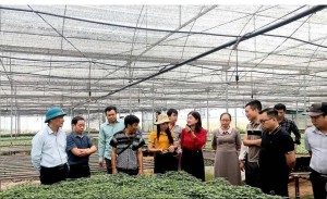 Sơn La tạo đòn bẩy thu hút đầu tư từ chính sách ưu đãi tại 75 xã, phường