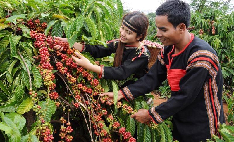Buôn Ma Thuột ghi dấu ấn trên bản đồ ẩm thực thế giới năm 2026