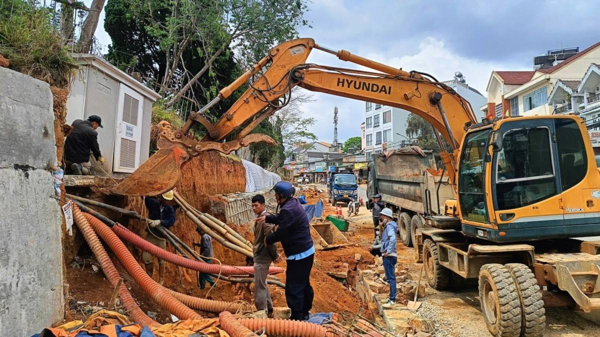 Lâm Đồng: Yêu cầu khẩn trương góp ý dự thảo chế tài xử phạt ngành xây dựng và bất động sản