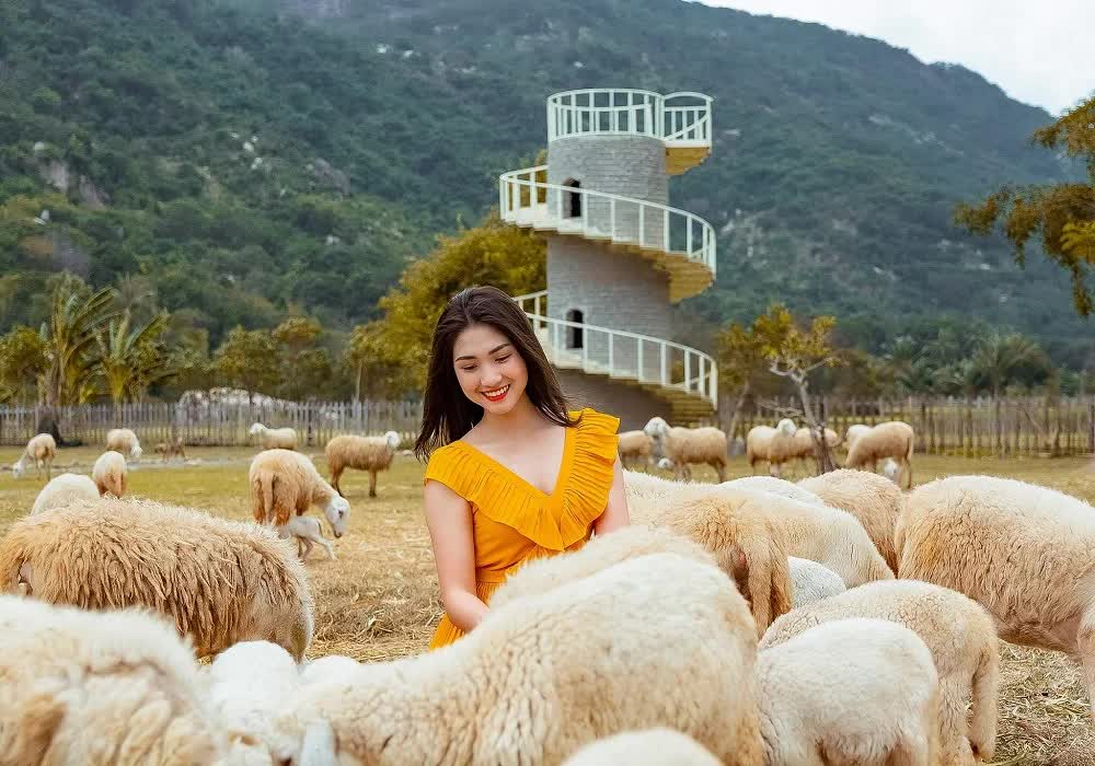 Chiến lược Halal hóa ngành chăn nuôi Khánh Hòa: Bước đi đột phá từ lợi thế đặc thù