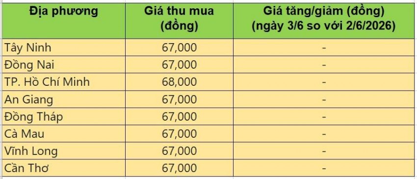 giá heo hơi
