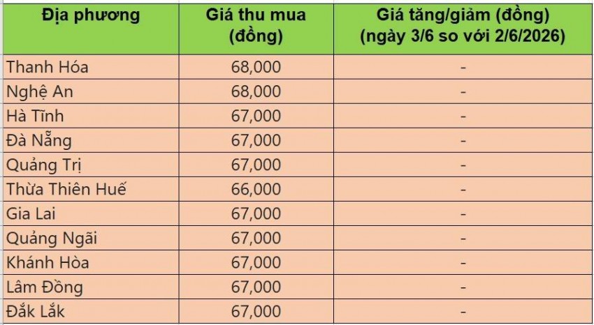 giá heo hơi