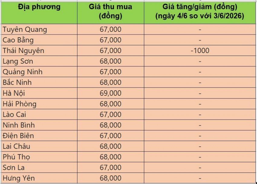 giá heo hơi