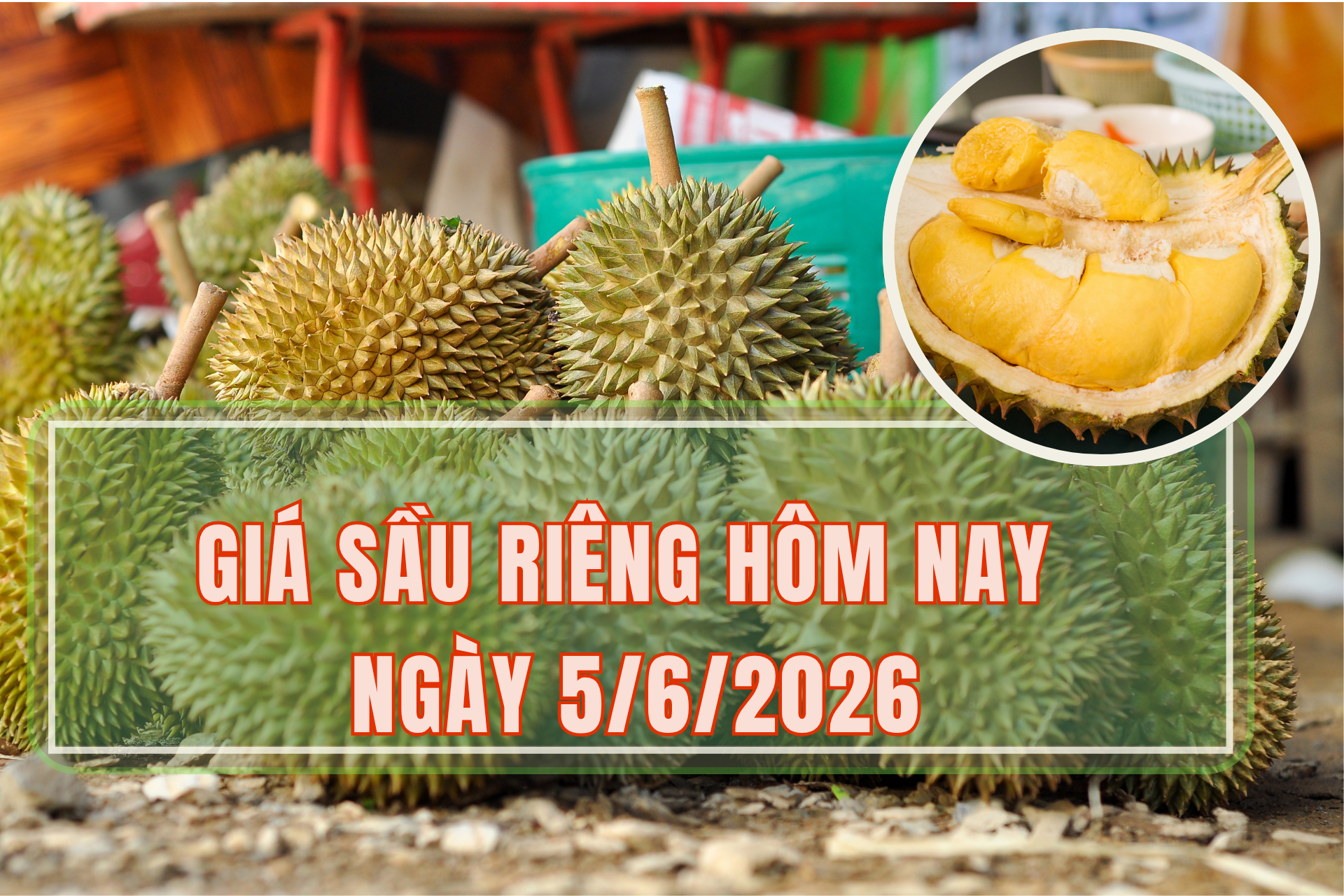 Giá sầu riêng hôm nay 5/6: Thị trường bình ổn