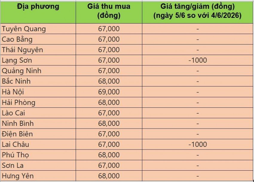 giá heo hơi