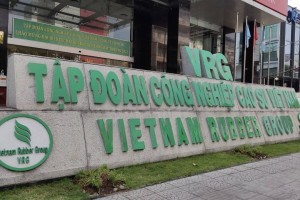Tập đoàn Công nghiệp Cao su chưa đáp ứng tiêu chí công ty đại chúng do tỷ lệ sở hữu Nhà nước quá cao