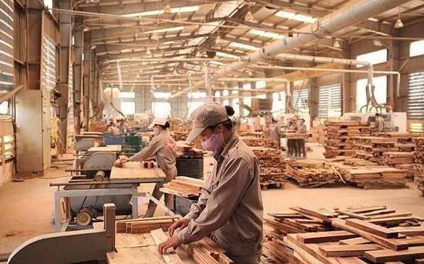 Thái Nguyên nâng tầm kinh tế lâm nghiệp từ tài nguyên rừng sang giá trị bền vững