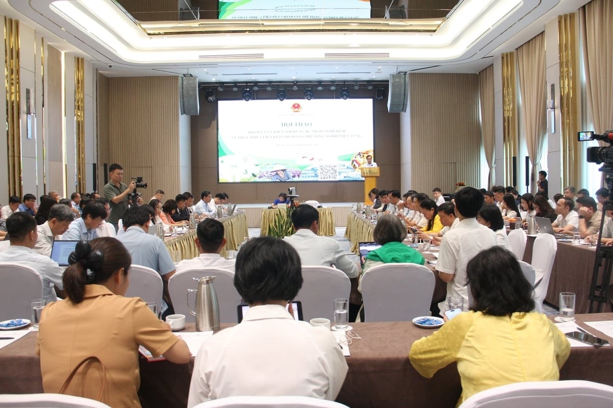Gỡ “nút thắt” liên kết chuỗi để mở đường cho nền nông nghiệp xanh và kinh tế nông nghiệp hiện đại