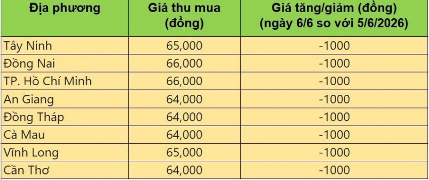 giá heo hơi