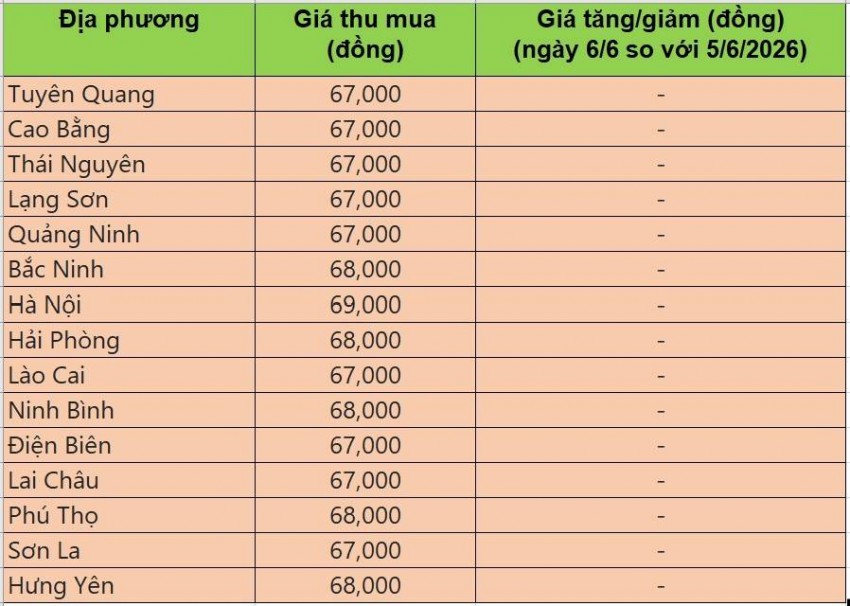 giá heo hơi