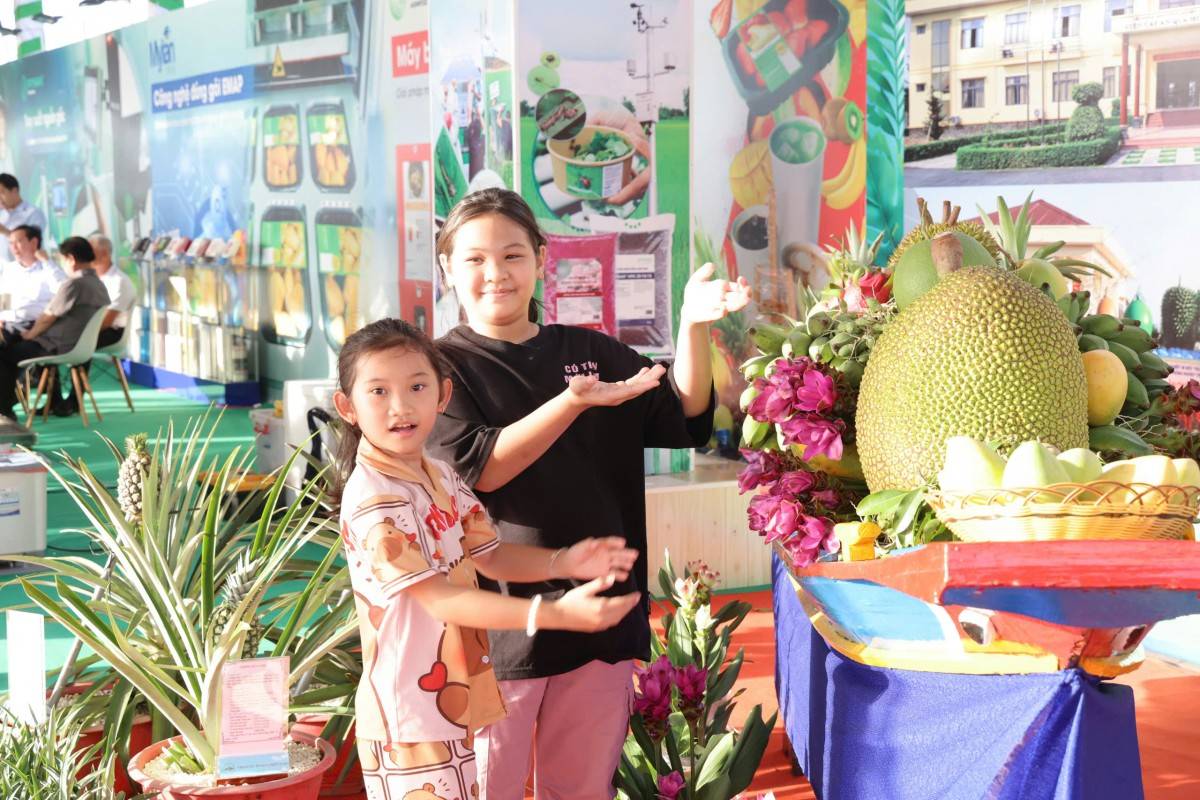 Nhiều du khách không giấu được sự thích thú khi tận mắt chiêm ngưỡng những mô hình nghệ thuật được tạo nên từ hàng nghìn trái cây đủ màu sắc. 