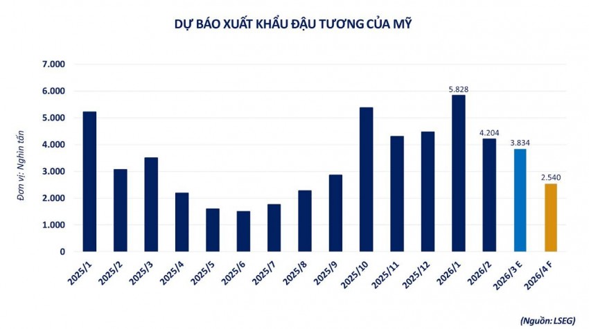 Thị trường nông sản: Thách thức dư cung và bài toán ổn định nội địa