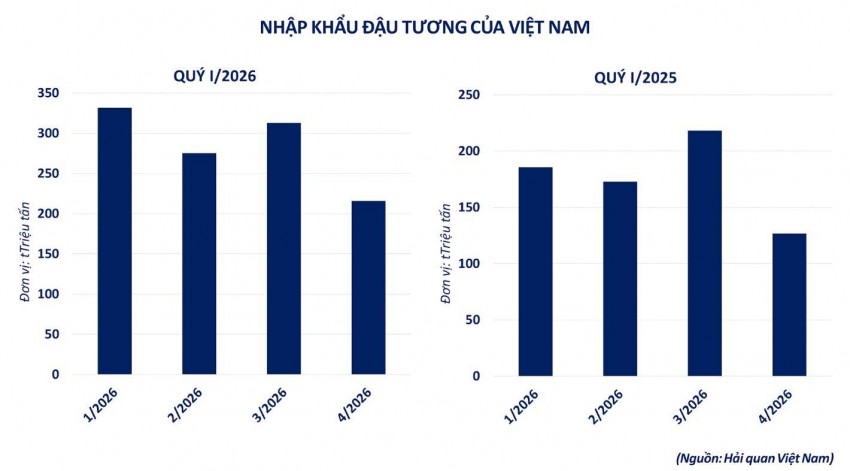 Thị trường nông sản: Thách thức dư cung và bài toán ổn định nội địa