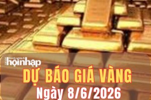 Dự báo giá vàng 8/6/2026: Giá vàng nhiều khả năng đi ngang, áp lực giảm vẫn hiện hữu