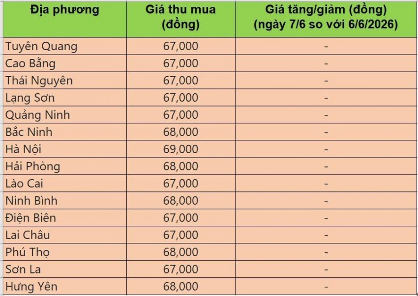Bảng giá heo hơi tại miền Bắc hôm nay 7/6/2026