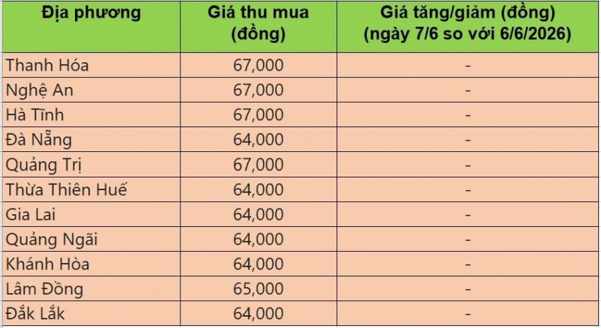 Bảng giá heo hơi tại miền Trung - Tây Nguyên hôm nay 7/6/2026