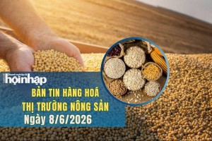 Thị trường nhóm nông sản 8/6/2026: Giá lúa mì, ngô và đậu tương đồng loạt giảm sâu trên CBOT