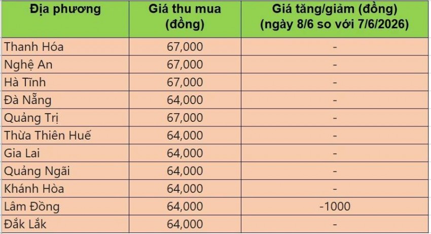 giá heo hơi