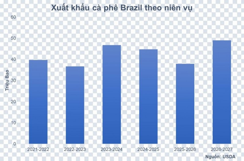 Thị trường cà phê: Dòng tiền tái định giá trước áp lực nguồn cung