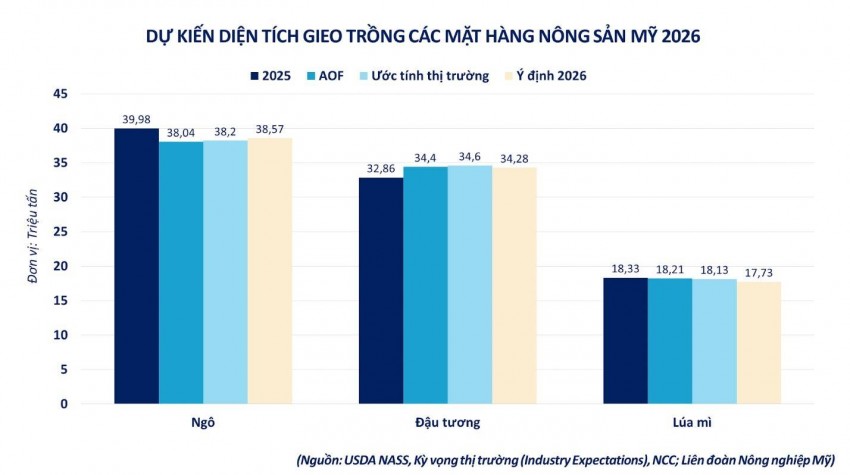 Thị trường ngô thiếu động lực phục hồi: Sức ép từ lượng hàng tồn kho toàn cầu