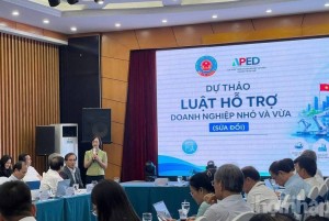 Hoàn thiện Luật Hỗ trợ doanh nghiệp nhỏ và vừa theo hướng thực chất, số hóa và tạo động lực phát triển kinh tế tư nhân