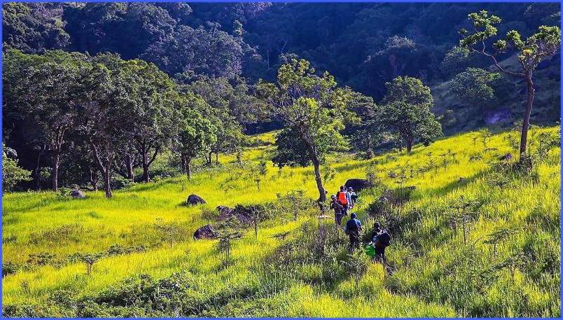 Khánh Hòa: Chấn chỉnh việc trekking, camping ở Vườn Quốc gia Núi Chúa - Phước Bình