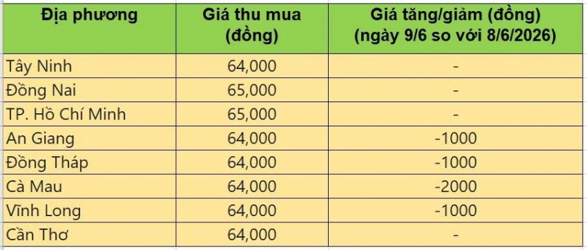 Bảng giá heo hơi tại miền Nam hôm nay 9/6/2026