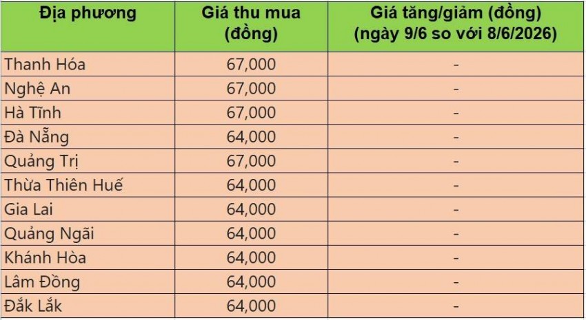 Bảng giá heo hơi tại miền Trung - Tây Nguyên hôm nay 9/6/2026