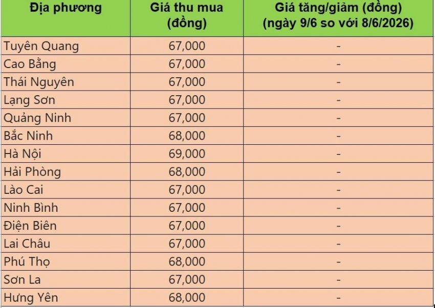 Bảng giá heo hơi tại miền Bắc hôm nay 9/6/2026