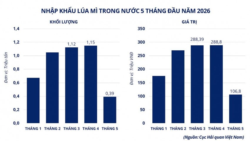 Giá lúa mì tăng vọt: Bài toán cân não cho doanh nghiệp nhập khẩu Việt Nam