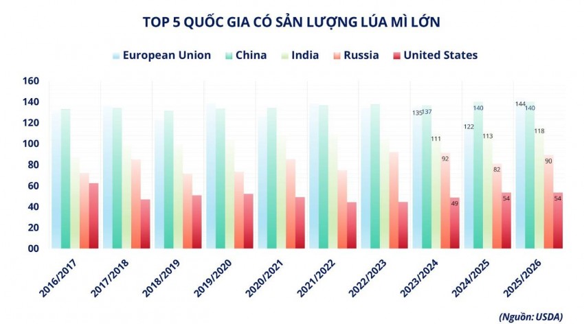 Giá lúa mì tăng vọt: Bài toán cân não cho doanh nghiệp nhập khẩu Việt Nam