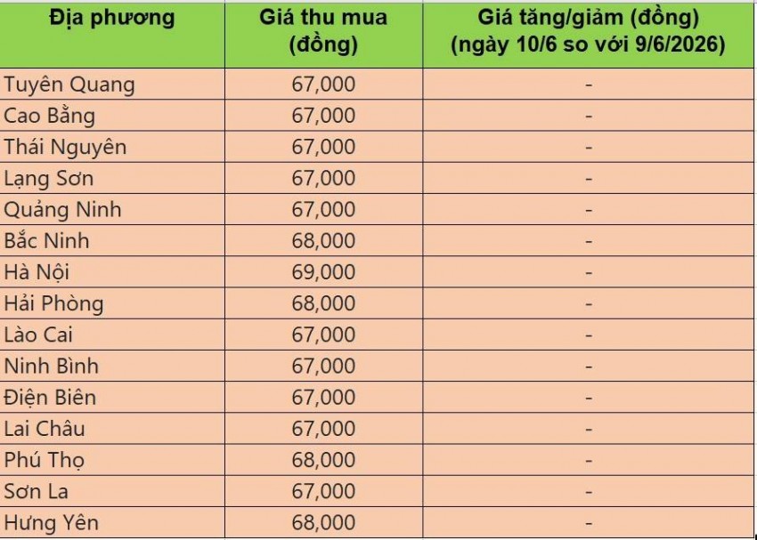 Giá heo hơi hôm nay 10/6: Giá heo hơi tại miền Bắc đi ngang, miền Trung và miền Nam tiếp đà giảm