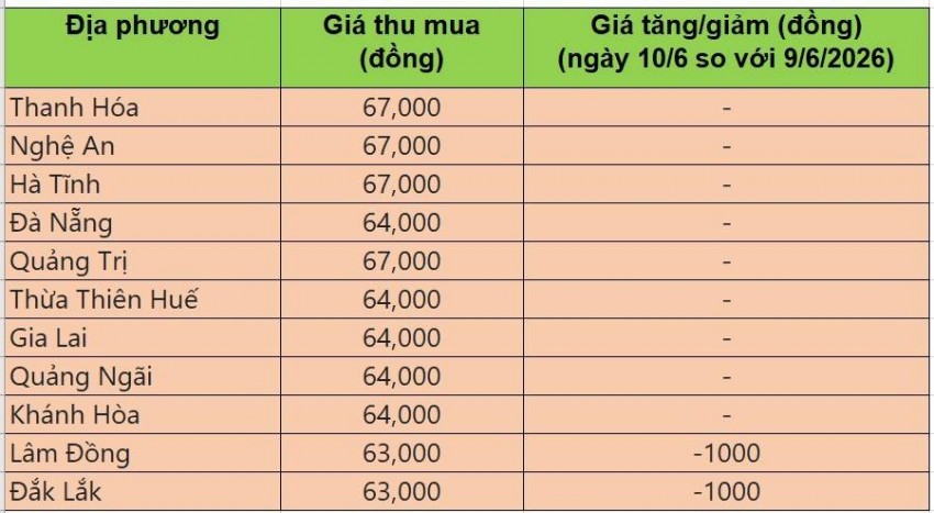 Giá heo hơi hôm nay 10/6: Giá heo hơi tại miền Bắc đi ngang, miền Trung và miền Nam tiếp đà giảm