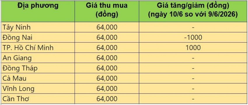 Giá heo hơi hôm nay 10/6: Giá heo hơi tại miền Bắc đi ngang, miền Trung và miền Nam tiếp đà giảm