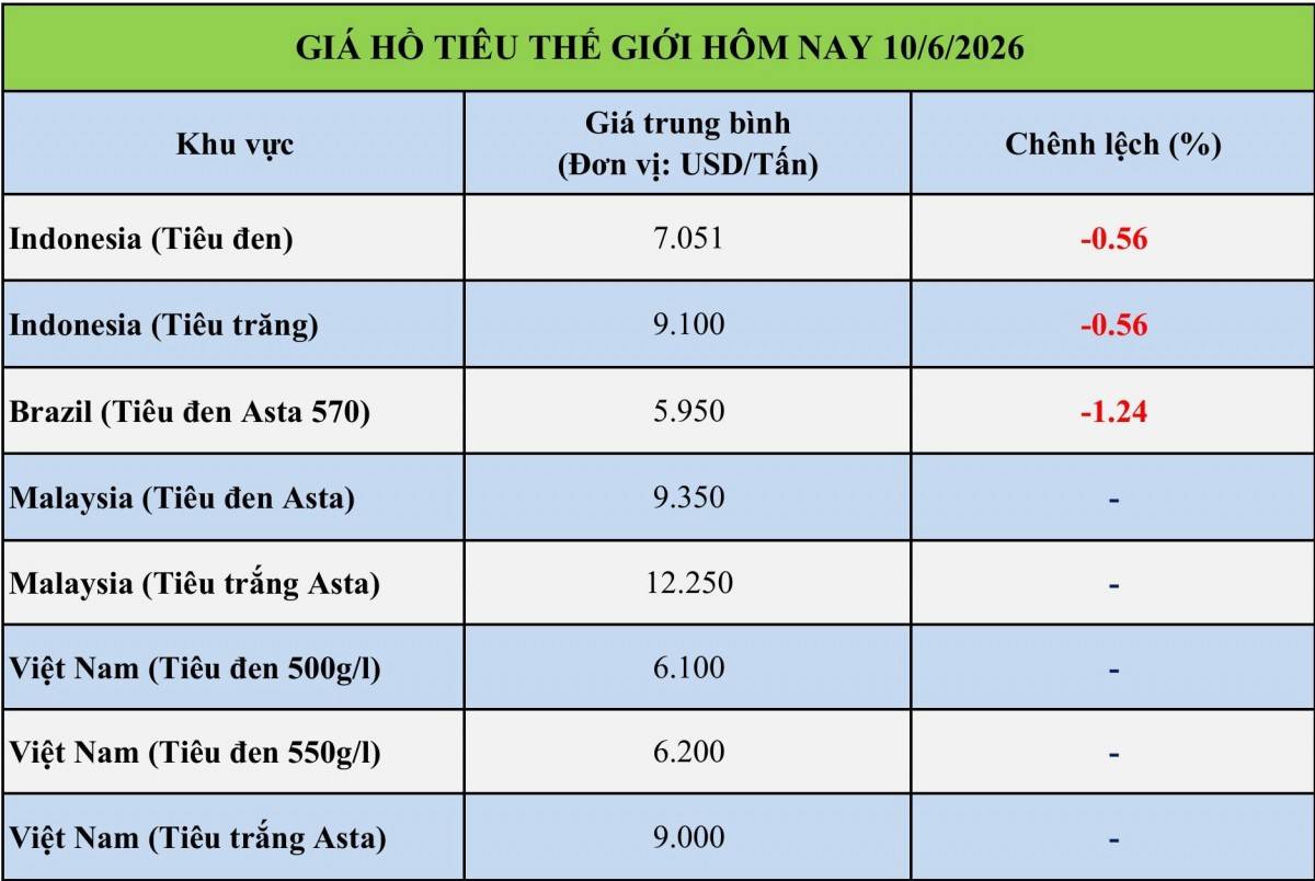 Giá tiêu hôm nay 10/6/2026: