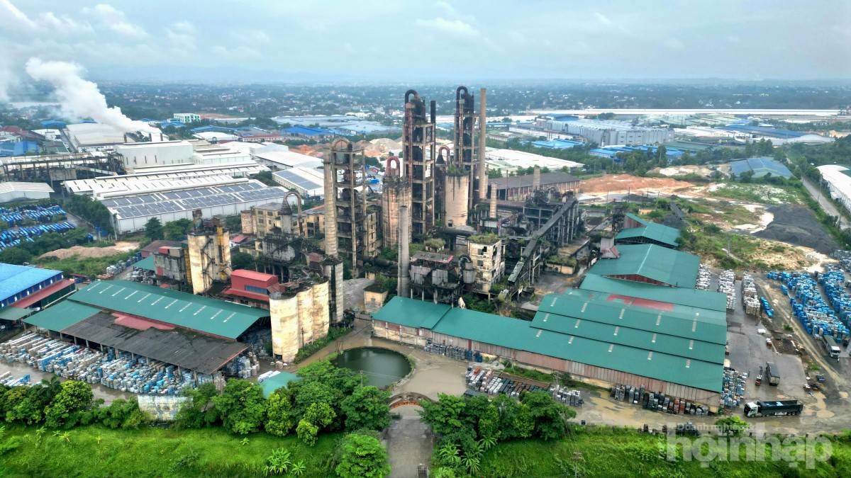 Phú Thọ: Xi măng Hữu Nghị dẫn đầu nợ BHXH với hơn 4,4 tỷ đồng