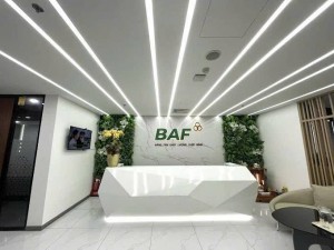 BAF Việt Nam chia cổ tức, thưởng cổ phiếu 20%, tăng vốn lên 3.648 tỷ
