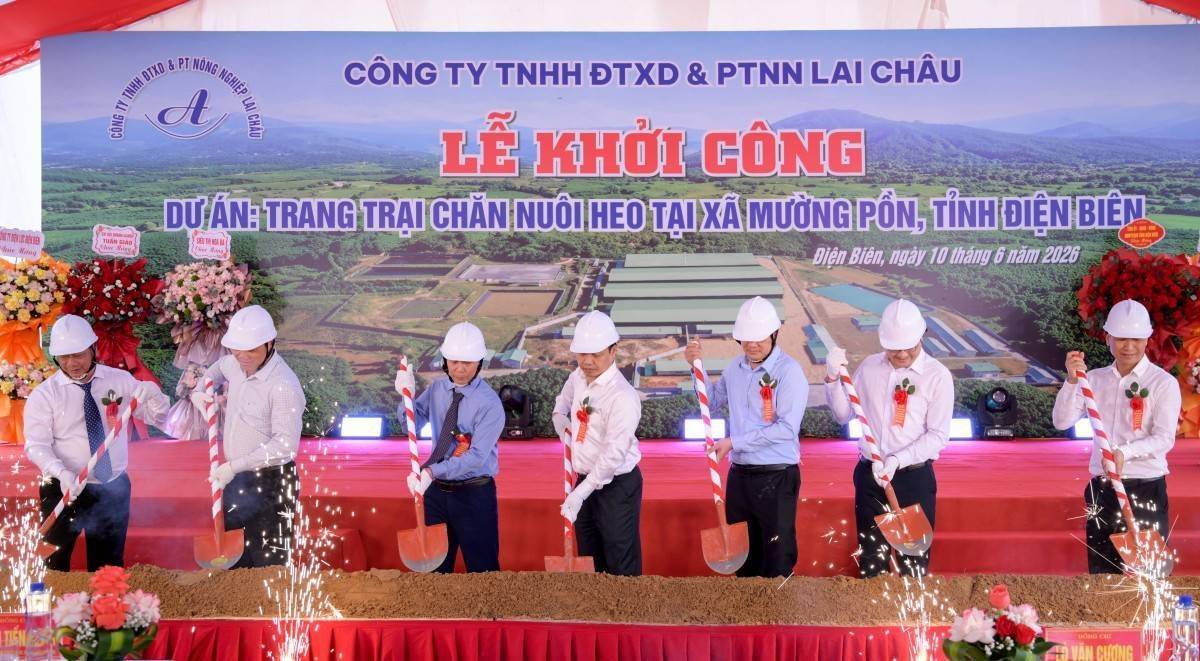 Điện Biên khởi công trang trại chăn nuôi heo 120 tỷ đồng tại Mường Pồn
