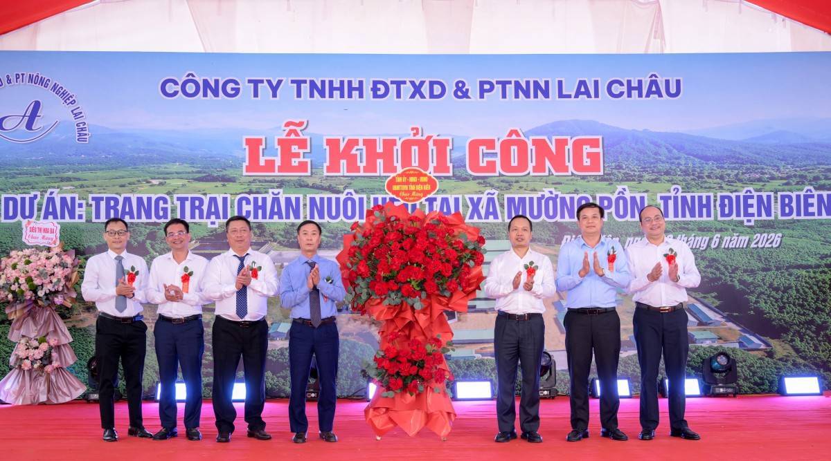 Điện Biên khởi công trang trại chăn nuôi heo 120 tỷ đồng tại Mường Pồn